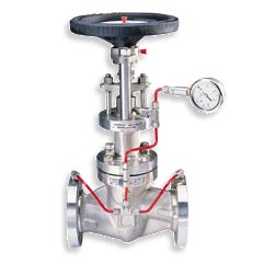 Globe Valve